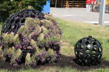 Czerwona kartka za promenadę