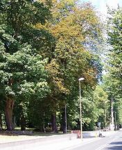 Konkurs architektoniczny