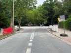 zdjecie