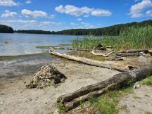 Zmiana klimatu będzie nasilać upały i suszę.