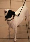 zdjecie