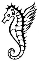   W roku 45 – lecia Klubu Literackiego „Na Wyspie”